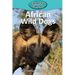 African Wild Dogs