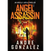 Angel Assassin (Arielle Lucila Series, Book 1)