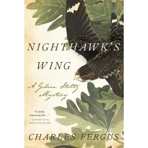 Nighthawk's Wing: A Gideon Stoltz Mystery