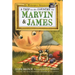 A Trip to the Country for Marvin & James: The Masterpiece Adventures, Book Five