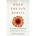 When the Sun Bursts: The Enigma of Schizophrenia