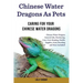 Chinese Water Dragons as Pets: Chinese Water Dragons General Info, Purchasing, Care, Cost, Keeping, Health, Supplies, Food, Breeding and More Include