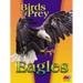 Eagles