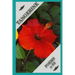 Tangerine Poems at 94