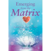 Emerging From the Matrix: Healing Human Trauma and Ending Global Enslavement