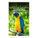 Come Fly The 7 Continents With Birds Around The World - Curious Kids Press: Kids book about animals and wildlife, Children's books 4-6