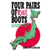Four Pairs of Boots: A 3,200 Kilometre Hike The Length of Japan