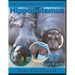 Hippopotamus: Photos and Fun Facts for Kids