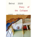 Beirut 2020: Diary of the Collapse