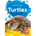 Turtles