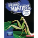 Praying Mantises: An Augmented Reality Experience