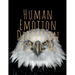 Human Emotion and Artificial Intelligence
