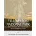 Yellowstone National Park: The History of America's Most Famous Park