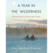 A Year in the Wilderness: Bearing Witness in the Boundary Waters