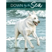 Down by the Sea: Draw and Paint with Watercolor, Acrylic, Pen & Ink
