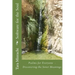 Software for the Soul: Psalms for Everyone - Discovering the Inner meanings