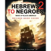 Hebrews to Negroes 2: WAKE UP BLACK AMERICA! Volume 1