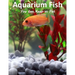 Aquarium Fish You Can Keep As Pets: A List Of Crazy, Exotic Fish To Keep As Pets