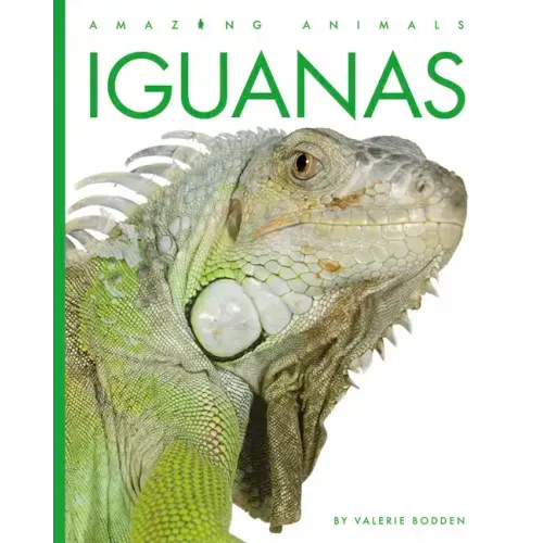 Iguanas