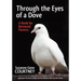 Through the Eyes of a Dove: A Book for Bereaved Parents