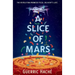 A Slice of Mars