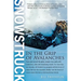 Snowstruck: In the Grip of Avalanches