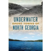 Underwater Ghost Towns of North Georgia