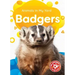 Badgers