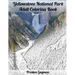 Yellowstone National Park Adult Coloring Book