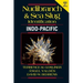 Nudibranch and Sea Slug Identification - Indo-Pacific 2nd Edition