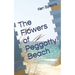 The Flowers of Peggotty Beach