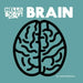 Brain