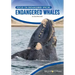 Endangered Whales