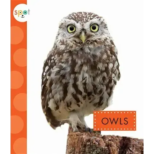 Owls