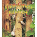 A Rainforest Habitat