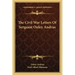 The Civil War Letters of Sergeant Onley Andrus