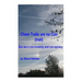 Chem Trails are no Con (trail): But are a con-troversy and con-spiracy