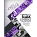 Voices and Visions: The Evolution of the Black Experience