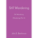 Still Wandering: Still Wondering (Wanderings Part 4)