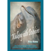 Walking with Dolphins