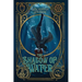 The Shadow of Water