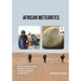 African Meteorites