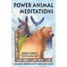 Power Animal Meditations: Shamanic Journeys with Your Spirit Allies