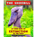 The Shoebill: At high risk of extinction in the wild