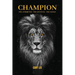 Champion: The Attributes, The Lifestyle, The Choice