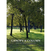 Canopy & Column: seeing trees through a designer's eye