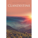 Clandestine