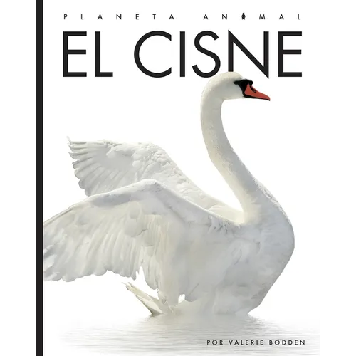 El Cisne