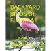Backyard Birds of Florida