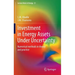 Investment in Energy Assets Under Uncertainty: Numerical Methods in Theory and Practice